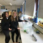 Students taking part in STEM project