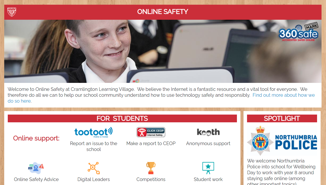 Screenshot of the online safety website